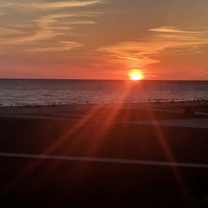 Meet your Posher, Lynna